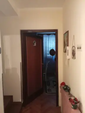Kuća 313 m² + plac 534 m², Šabac, fotografija 13