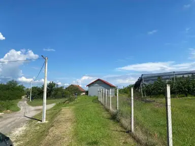 Poljoprivredni plac 40000 m², Krnule, Vladimirci, fotografija 3