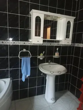 Kuća 276 m² + plac 373 m², Čavić, Šabac, fotografija 13