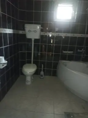 Kuća 276 m² + plac 373 m², Čavić, Šabac, fotografija 14