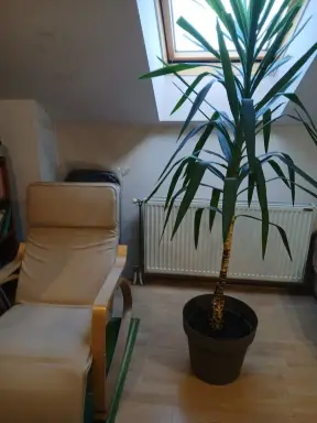 Jednosoban stan 46 m² – Živinarnik, Šabac