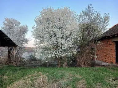Kuća 133 m² – Krnule, Vladimirci