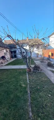 Kuća u Miloša Obilića