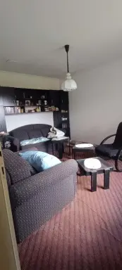 Kuća 85 m² + plac 25700 m² – Pejinović, Vladimirci