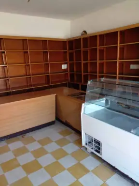 Poslovni prostor 86 m² + plac 2199 m² – Badovinci, Bogatić