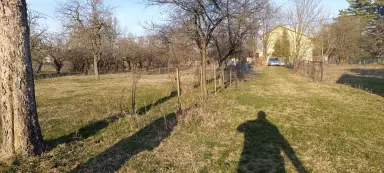 Dve kuće 274 m² + plac 12000 m² – Zablaće, Šabac