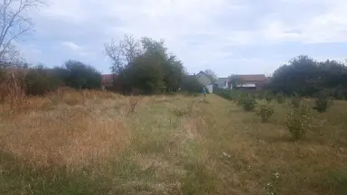 Kuća 200 m² + plac 3608 m² – Crna Bara, Bogatić