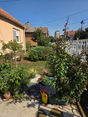 Kuća 81 m² + plac 253 m², Centar, Šabac, fotografija 4