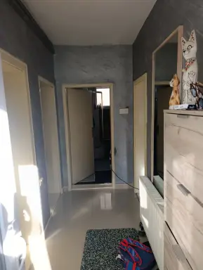 Kuća 195 m² + plac 370 m², Šabac, fotografija 19