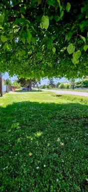 Kuća 57 m² + plac 2630 m², Zminjak, Šabac, fotografija 2