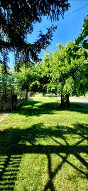 Kuća 57 m² + plac 2630 m², Zminjak, Šabac, fotografija 6