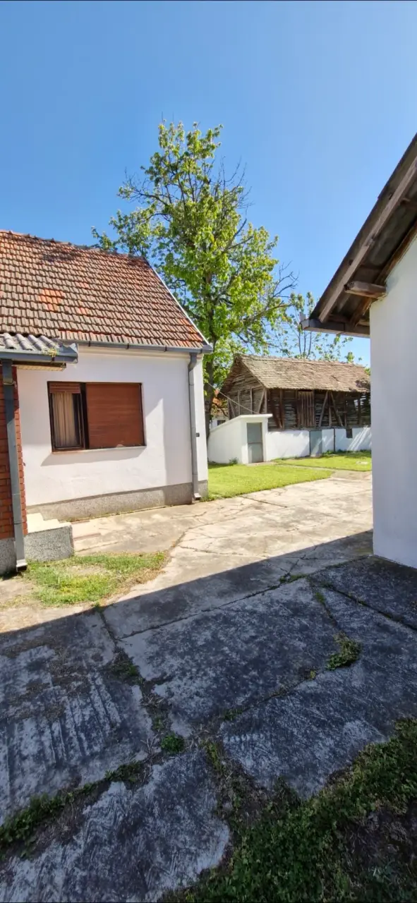 Kuća 270 m² + plac 9900 m², Šabac, fotografija 1